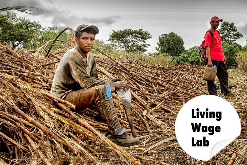 Affiliates, Enkele van onze partners in de ondersteuning van duurzaam produceren