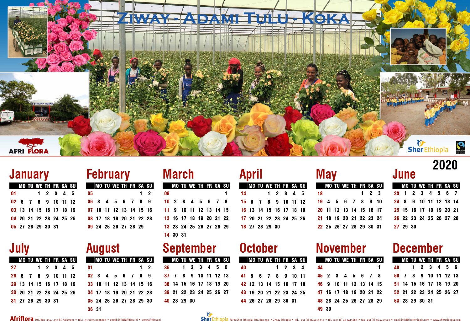 afriflora sher kalender 2020