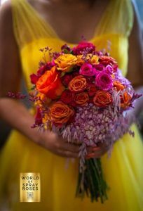 spray roses, Afriflora spray roses