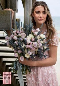 spray roses, Afriflora spray roses