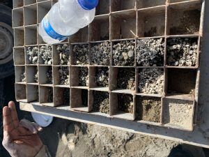 Nieuwe bron Adami Tulu, Nieuwe bron voor Sher Basisschool in Adami Tulu