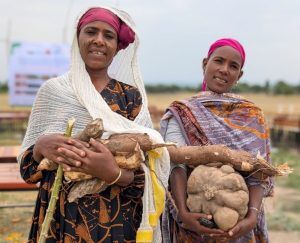 , Educatieve groentetuin en ervaringsuitwisselingsdag op Sher School