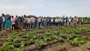 , Educatieve groentetuin en ervaringsuitwisselingsdag op Sher School