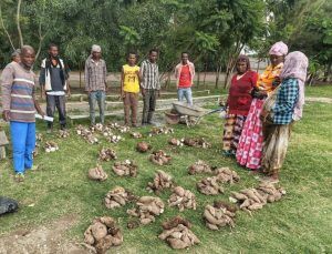 , Educatieve groentetuin en ervaringsuitwisselingsdag op Sher School