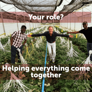 , Junior inkoper gezocht!